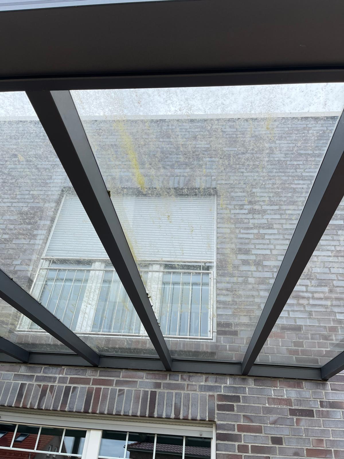 Verschmutzte Terrassenueberdachung mit Algenflecken und truebem Glas vor der Reinigung